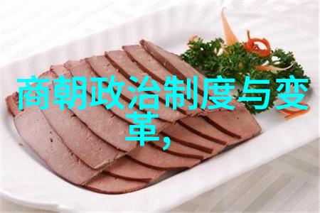 明朝风云录石悦的历史探寻之旅