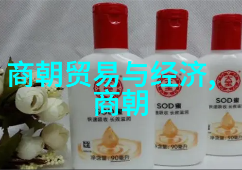 元朝的辉煌中国历史上的鼎盛时期中国古代帝王元朝文化忽必烈征服