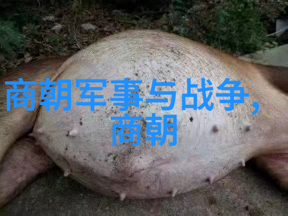 宋朝-南京落成庆典开启新都风华的盛举