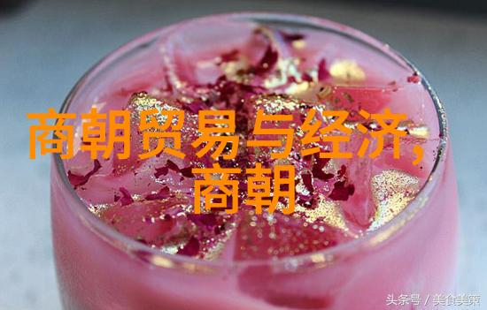 宋朝周边的邻国与贸易伙伴探索宋代国际关系的多彩篇章