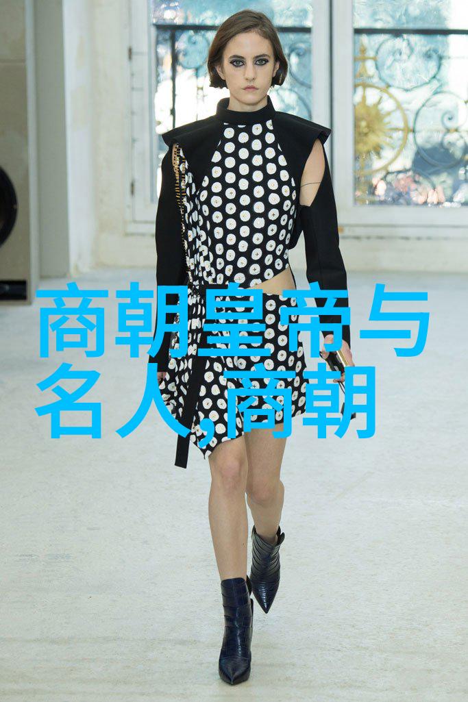 皇权之暗明朝的阴影与光辉