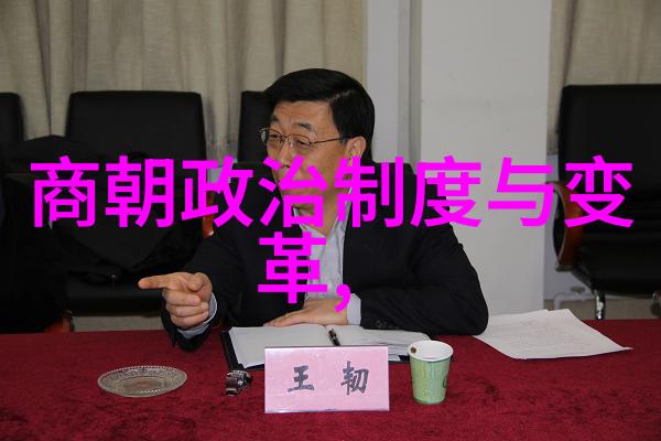 宋国历史我在宋朝的故事从北宋到南宋的奇幻历程
