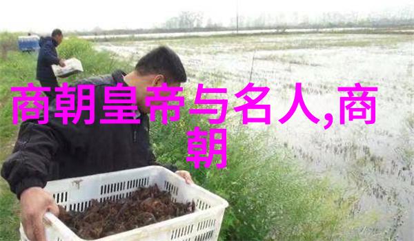 能力与忠诚明朝将领在战争中的表现
