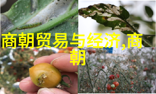 从黄帝到秦始皇中国古代的七大朝代