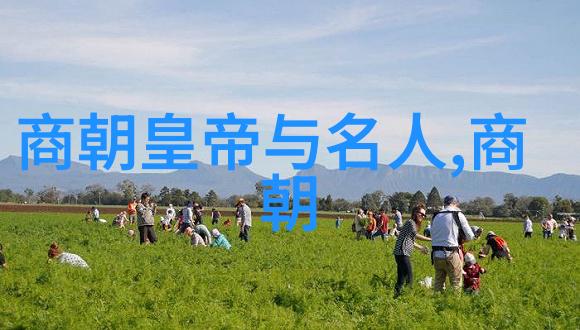 铁血帝国与金戈铠甲努尔哈赤与清朝的命运交响曲