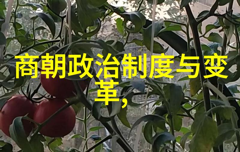 朝代图片顺序古代中国历史时期的图片展示