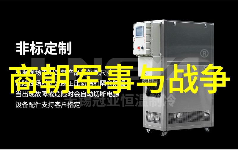 商纣王真的是荒淫无度之人吗 商朝灭亡的原因是