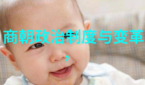 明朝那些事儿真相与谜团的交织之谜