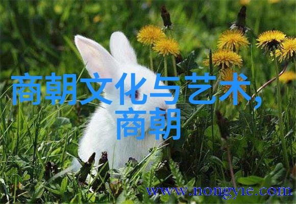 东宫泪落元朝末日的皇室公主悲歌
