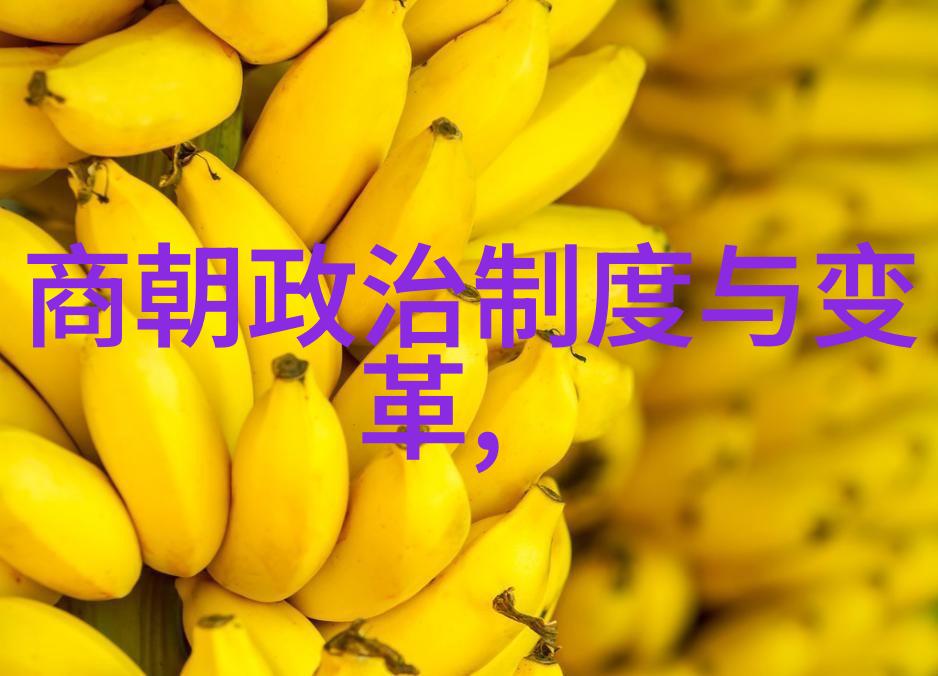清朝龙椅上的帝王历代君主的兴衰与变迁