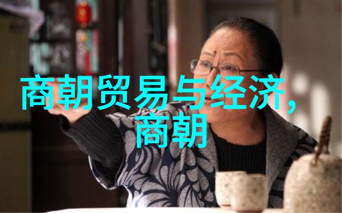 穿越时空的故事明朝那些意外的发现