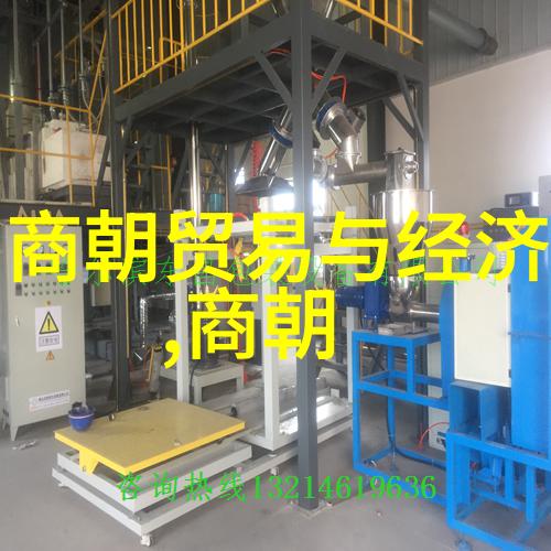 文化交流与科技传播在大清朝中的角色是什么以及它们是怎么顺地发展起来的