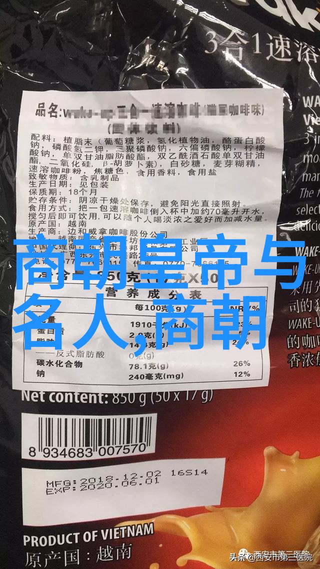 辉煌与沉沦元朝对中国的双刃剑