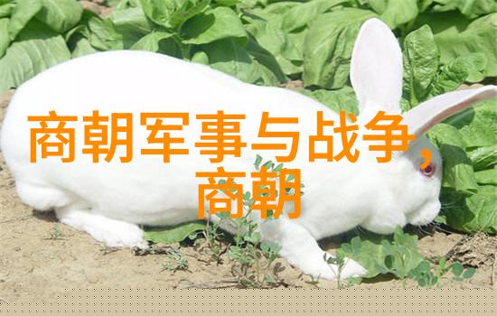 明朝17位皇帝的历史顺序明朝历代君主列表