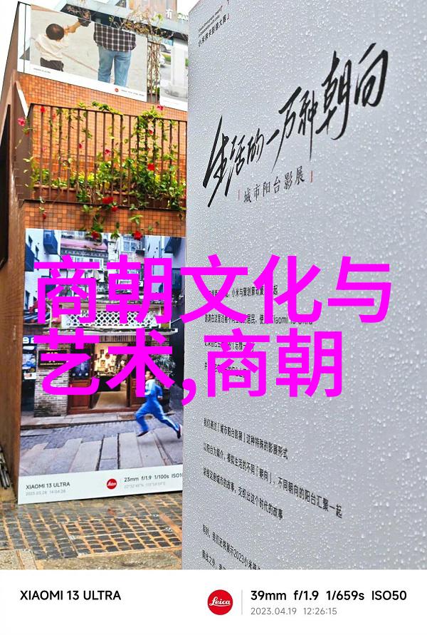 辽金交锋中的北宋英雄辽国攻略