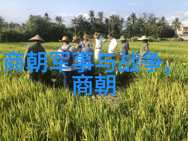 苏大椿书法大师之巅排名揭秘