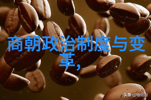 历史争议-朱棣夺位明朝的权力转移与正义考量