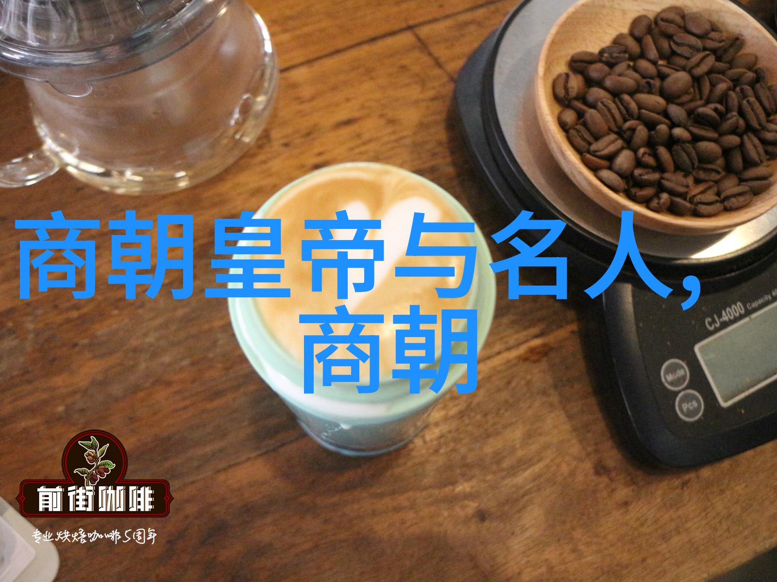 明朝皇室血脉纵横探索世系表背后的权力斗争与家族联系