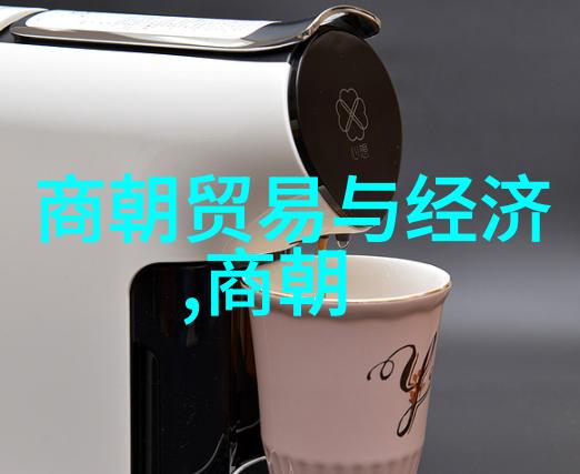 中国近代史第四章自强运动中的学术变革与文化冲击