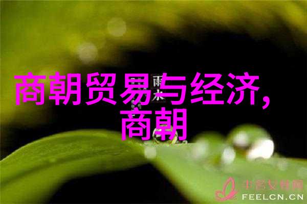 数据驱动的企业名人洪晃