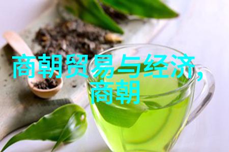 契丹古韵中的杨式太极拳黄丹英掌舵