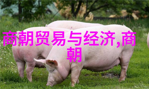 宫廷斗争与权力游戏