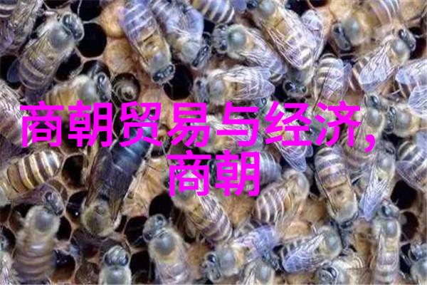 明代的科举制度有哪些特点和影响