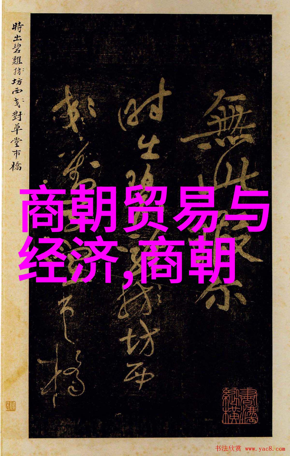 明代两个阶段在军事战略上分别采取了哪些措施来应对外敌侵扰
