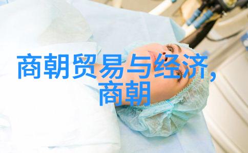 明朝两个阶段的辉煌与衰落从盛世繁荣到末代挣扎