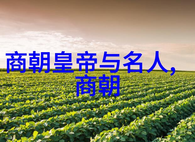 乾隆帝的继承人一个帝国的未来