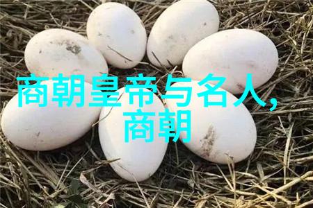 篆刻家商开栋收徒仪式在临沂羲之故里举行探索世界十大思想家的智慧影响社会发展