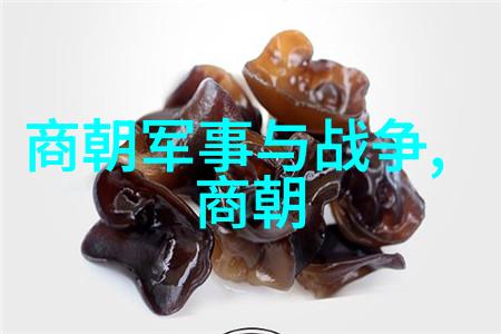 从一统天下到文化繁荣分析明朝最为卓越的三个代表性人物