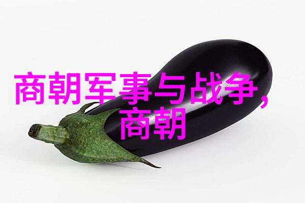 晋朝历史之谜司马家篡位的背后有着怎样的权力游戏