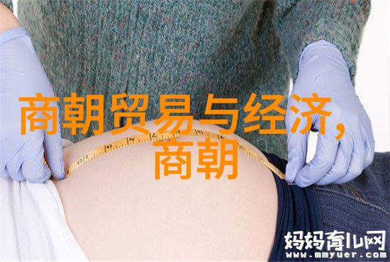 大清朝顺序 我的穿越之旅从康熙帝到乾隆帝的辉煌岁月