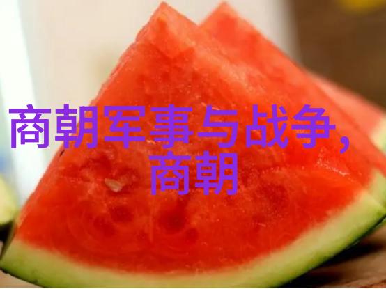 历史的迷雾唐僧西游录中的千年秘密