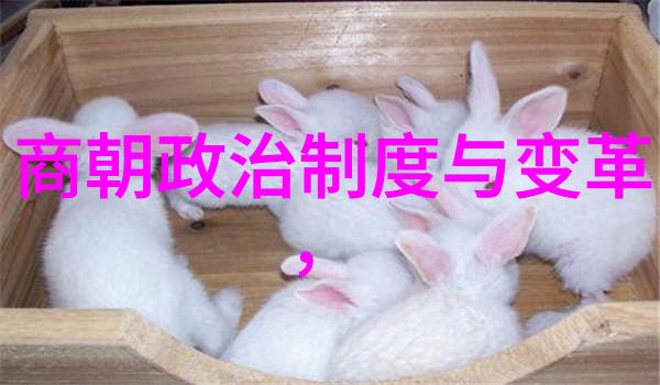 明朝那些事儿时光隧道中的历史长河