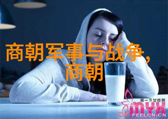 我来帮你看看揭秘明朝大事年表一图读懂千年盛世