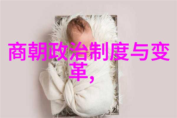 李方明的夜秦太极吴式拳法在物品间的舞动