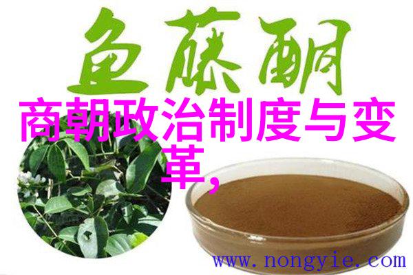 唐朝盛世之谜一句话揭秘千年辉煌