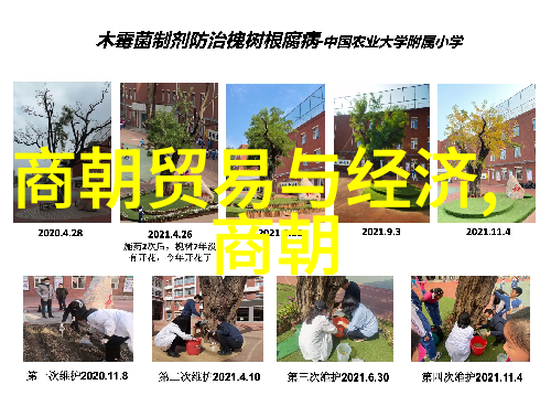 纷争与和平中国王朝演变的艺术图谱