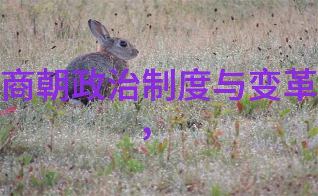 神话传说中的爱情故事杨戬与玉兔的悲欢离合