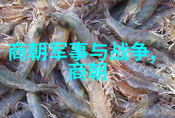 匈奴族英雄韩鹏尧