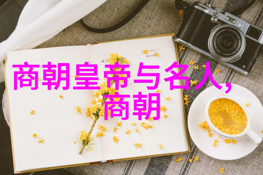 朱明的沉默常洛之死与福王的未成皇