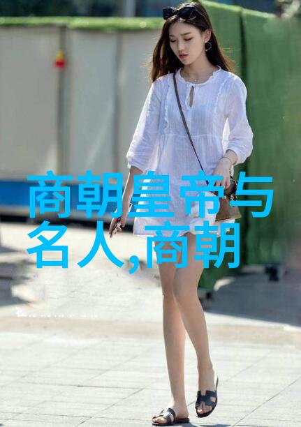 探究明朝历史文化的免费听闻途径一种创新式的学术研究方法论