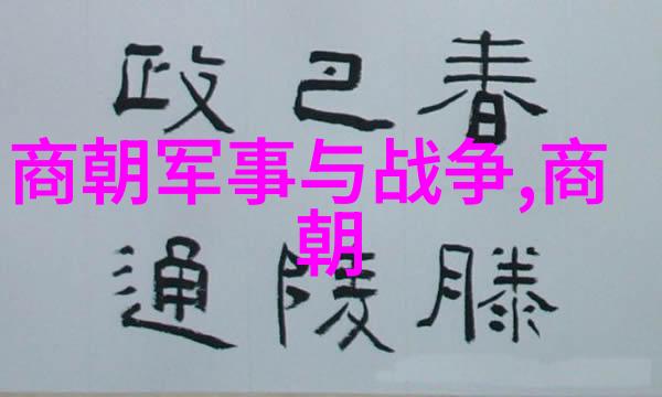 揭秘明朝风云王志安带你免费听历史
