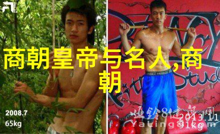 穿越时空的历史之声明朝那些事儿全集有声小说的魅力