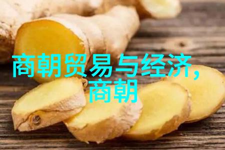 中国人才最鼎盛时期的君王后智慧如海英姿飒爽公元前249年