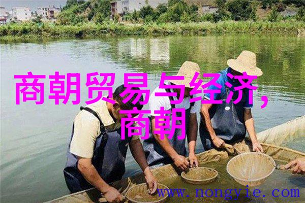 原始社会中的婚姻习俗又是怎样的以及它们在后来的文学作品中有何反映