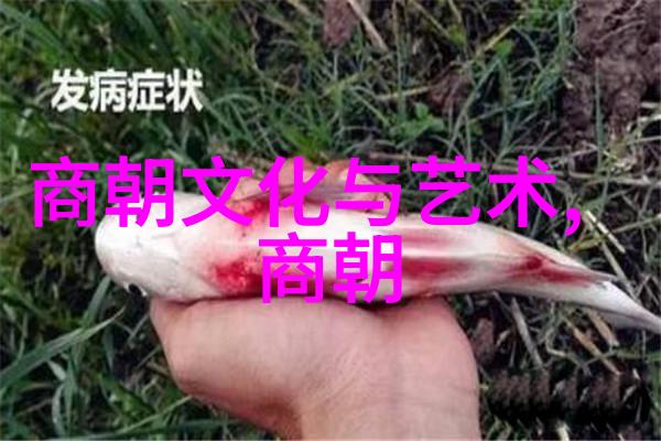 顺序是如何处理边疆问题的
