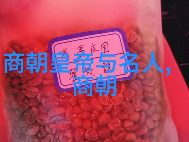 元朝的辉煌与沉沦一代帝王如何在百年征途中书写历史